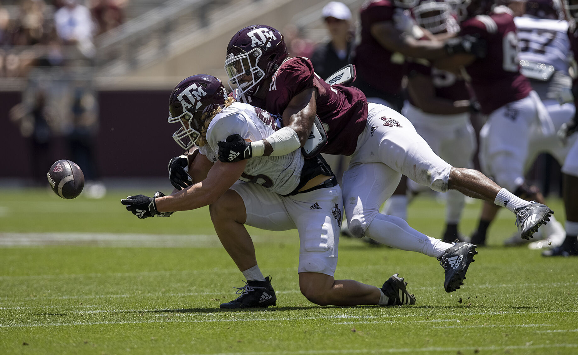 Maroon & White
